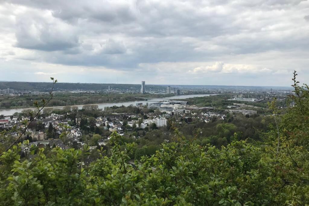 Modern Renovated Apartment Suited For Business Consultants - In Close Distance To Dt, Dhl And Un Campus - Reserved Parking Bonn Eksteriør billede